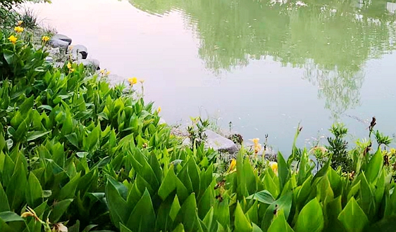 “十四五”期間，要以貫徹落實(shí)《地下水管理?xiàng)l例》為主線